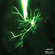Image for article titled Biologists Discover Tiny Neural Computers in the Brain